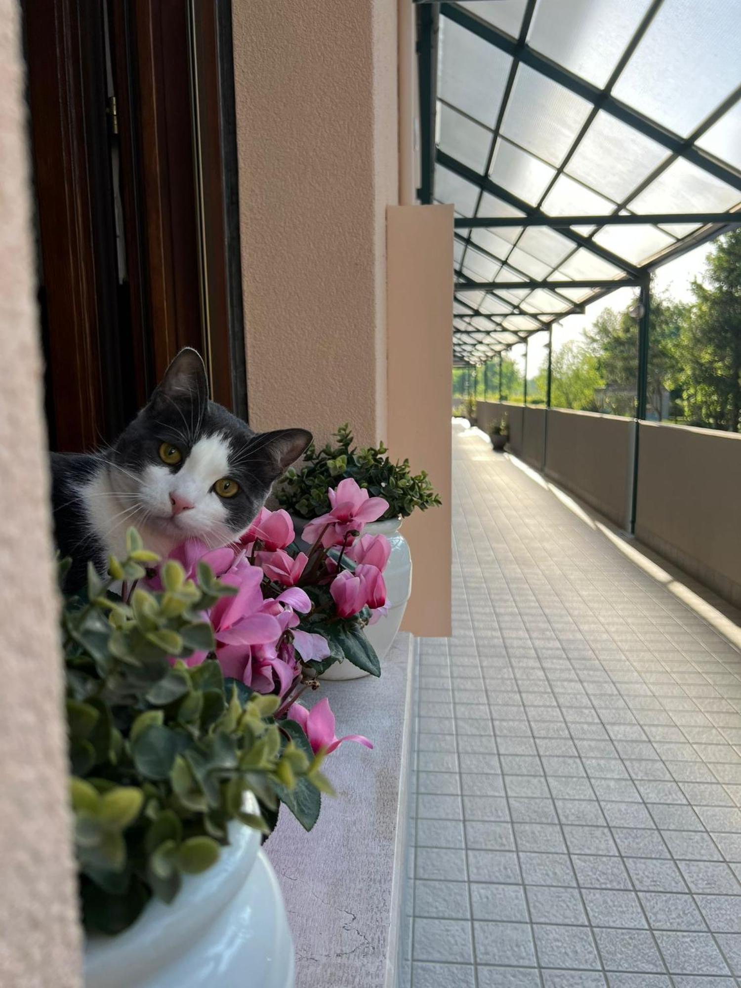 Appartement Sangiuliano *